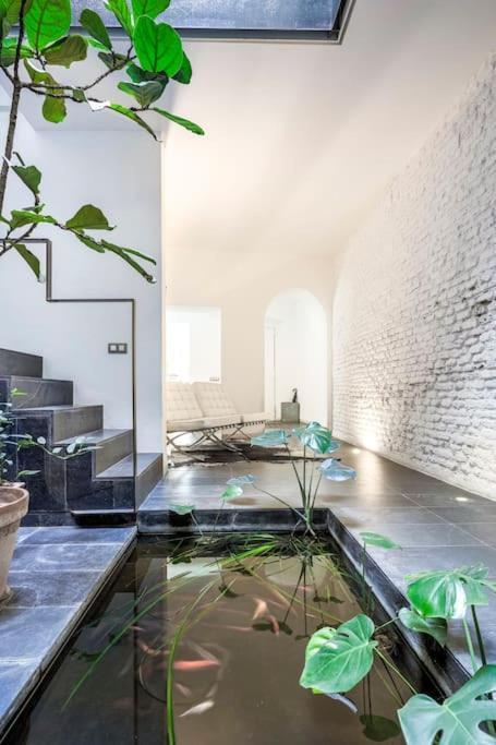 Elegante Duplex Centro Sevilla Matahacas 1 外观 照片