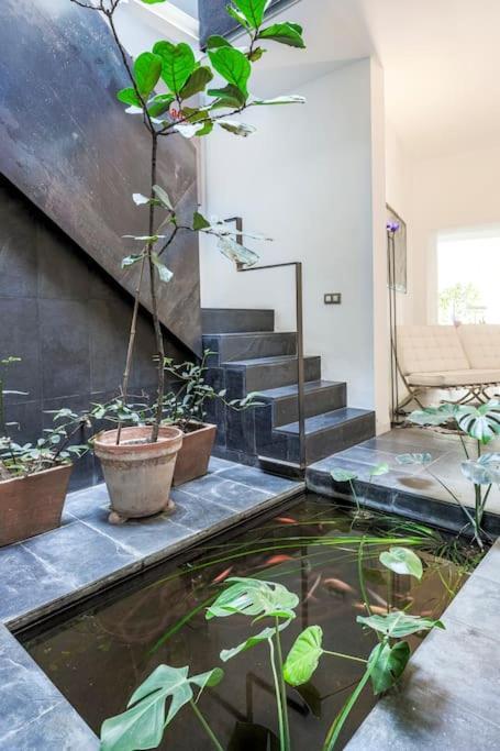 Elegante Duplex Centro Sevilla Matahacas 1 外观 照片